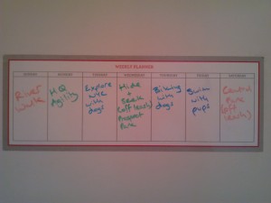 Activity log for the week