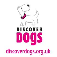 E-Discover Dogs 1211