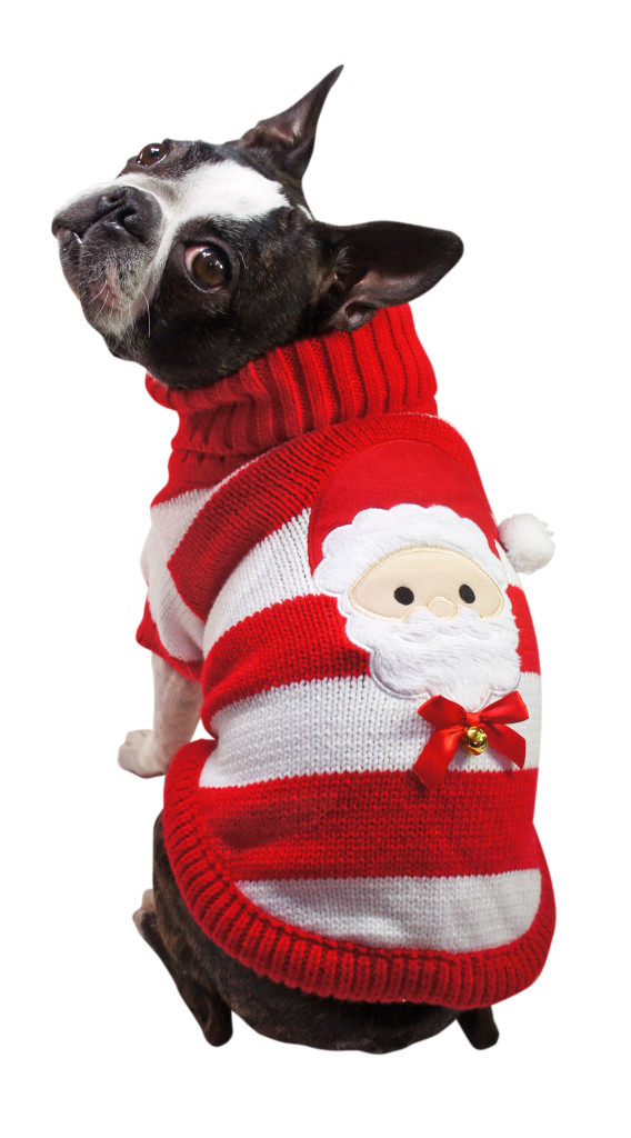 Jingle Santa Sweater