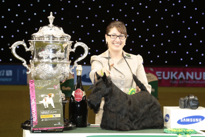 Rebecca Cross from Geithsburg, PA, USA with Kanopa a Scottish Terrier, which won the coveted title of Best in Show, Best of Breed and Best of Group today (Sunday 08.03.15), the fourth and final day of Crufts 2015, at the NEC Birmingham. *** Local Caption *** must credit photographer and the Kennel Club for any use