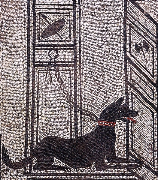 Mosaic of a city dog