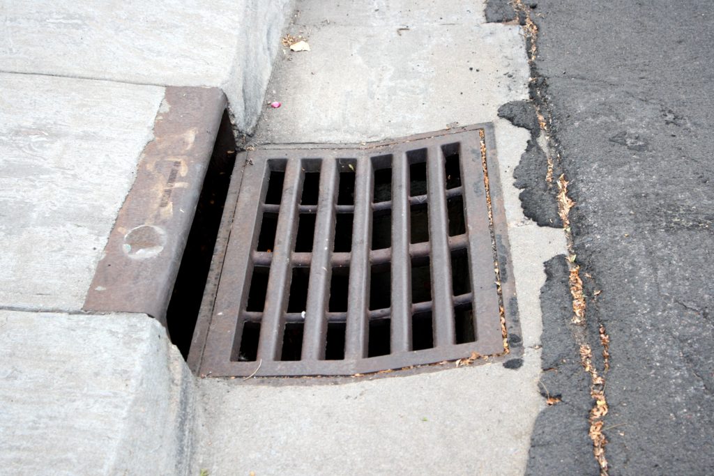 Storm drains. The nemesis of many a city dog http://www.avisplumbing.com