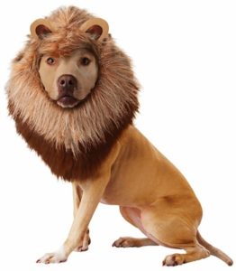 animal-planet-lion-dog-costume-x-small-26