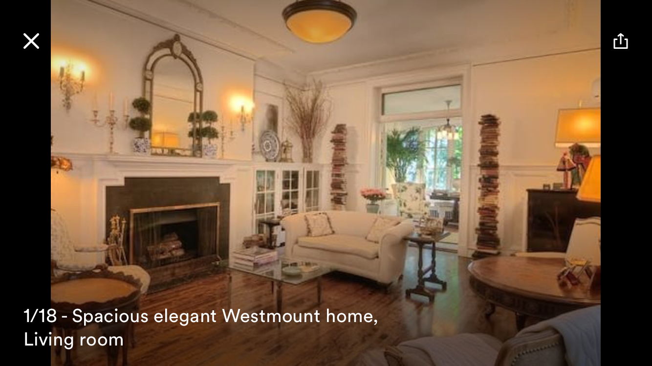 Top 3 Dog Friendly City Breaks City Dog Expert