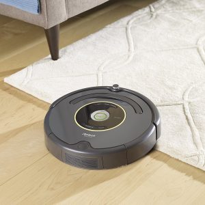 Dog Apartment Hack automatic vacuum