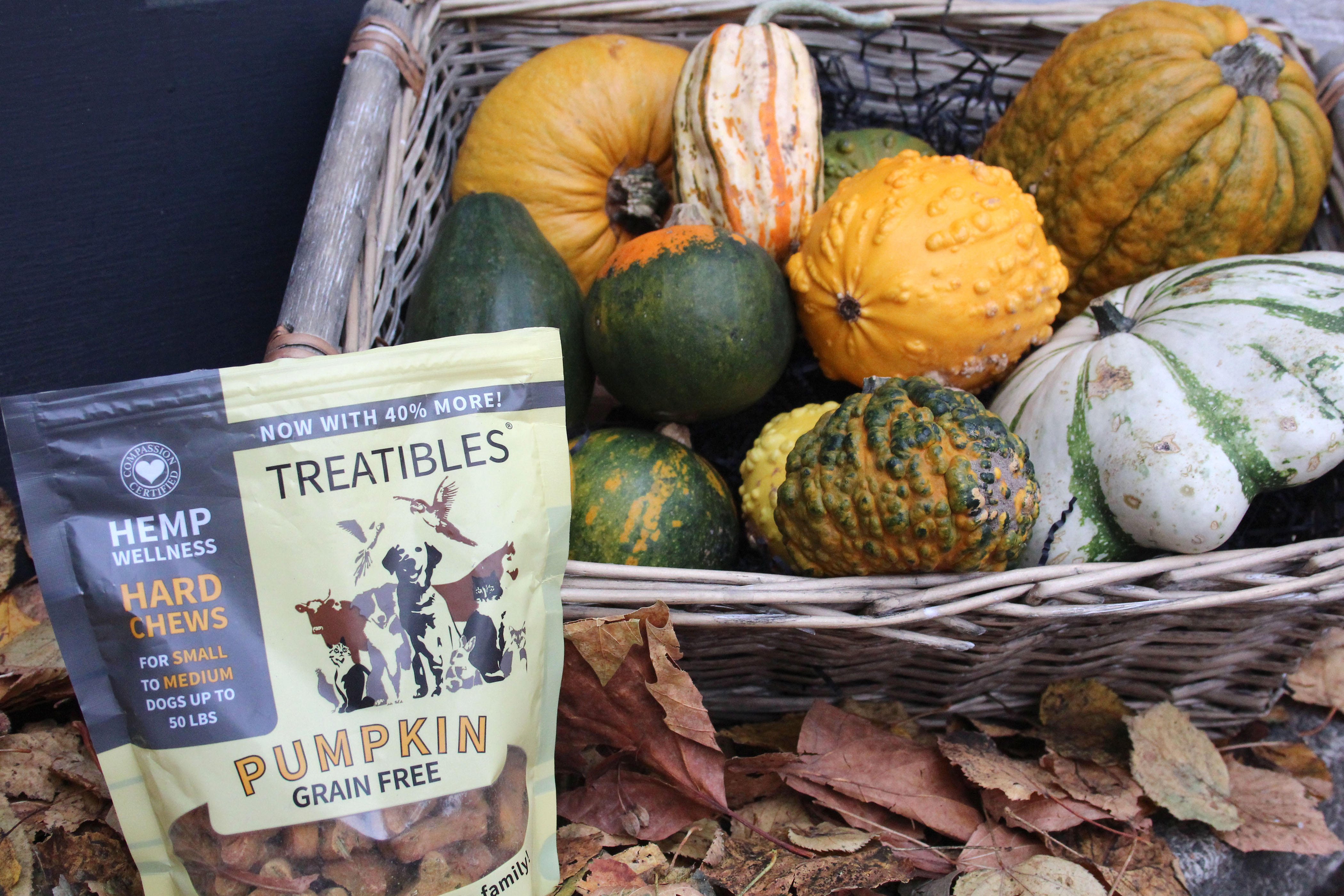 treatibles pumpkin treats
