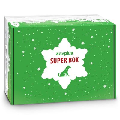 Christmas box for outlet dogs