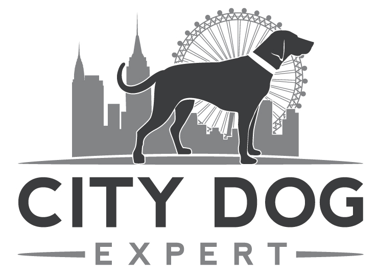 City Dog Expert