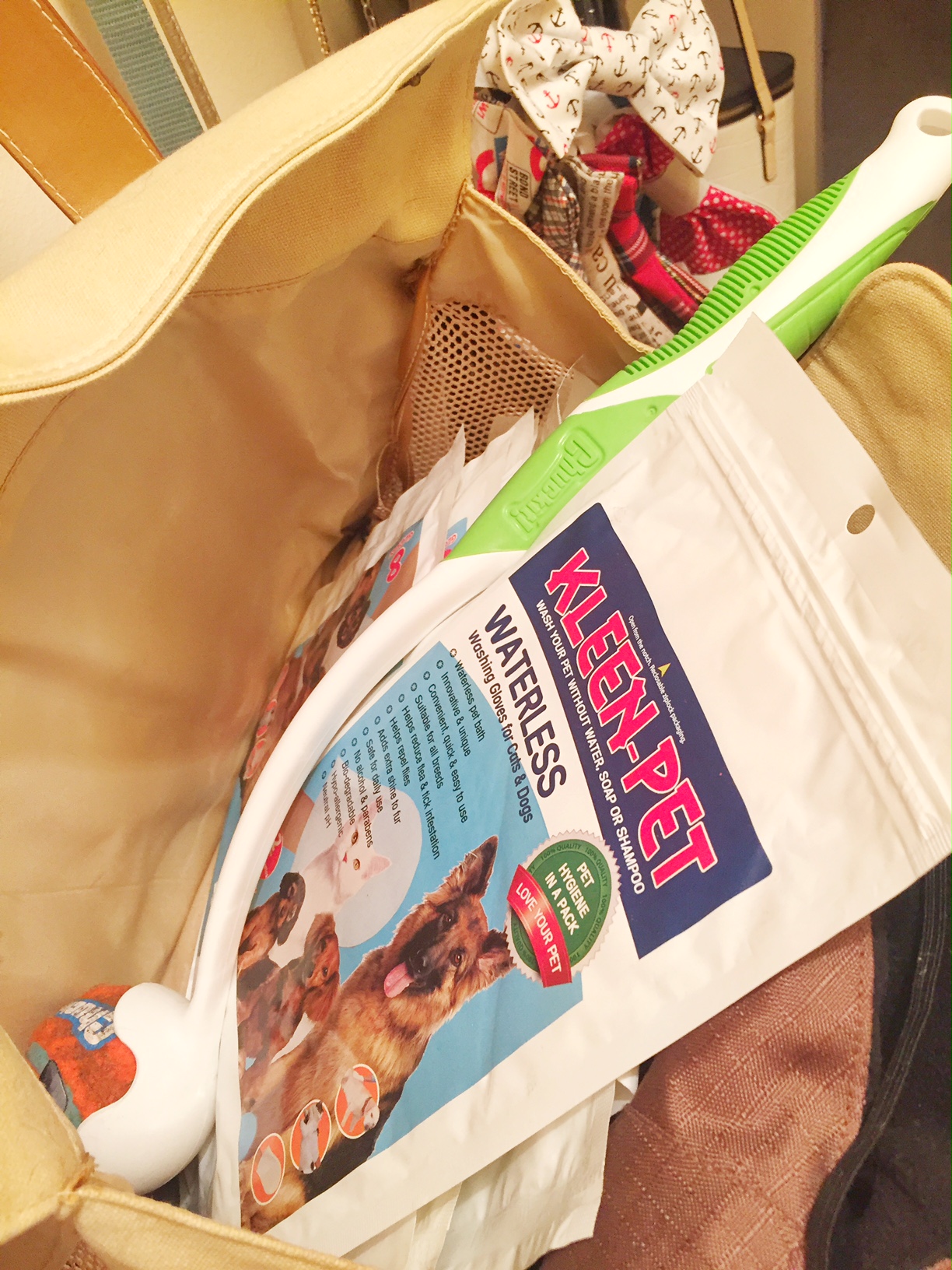 Keeping Your Dog Clean in Winter