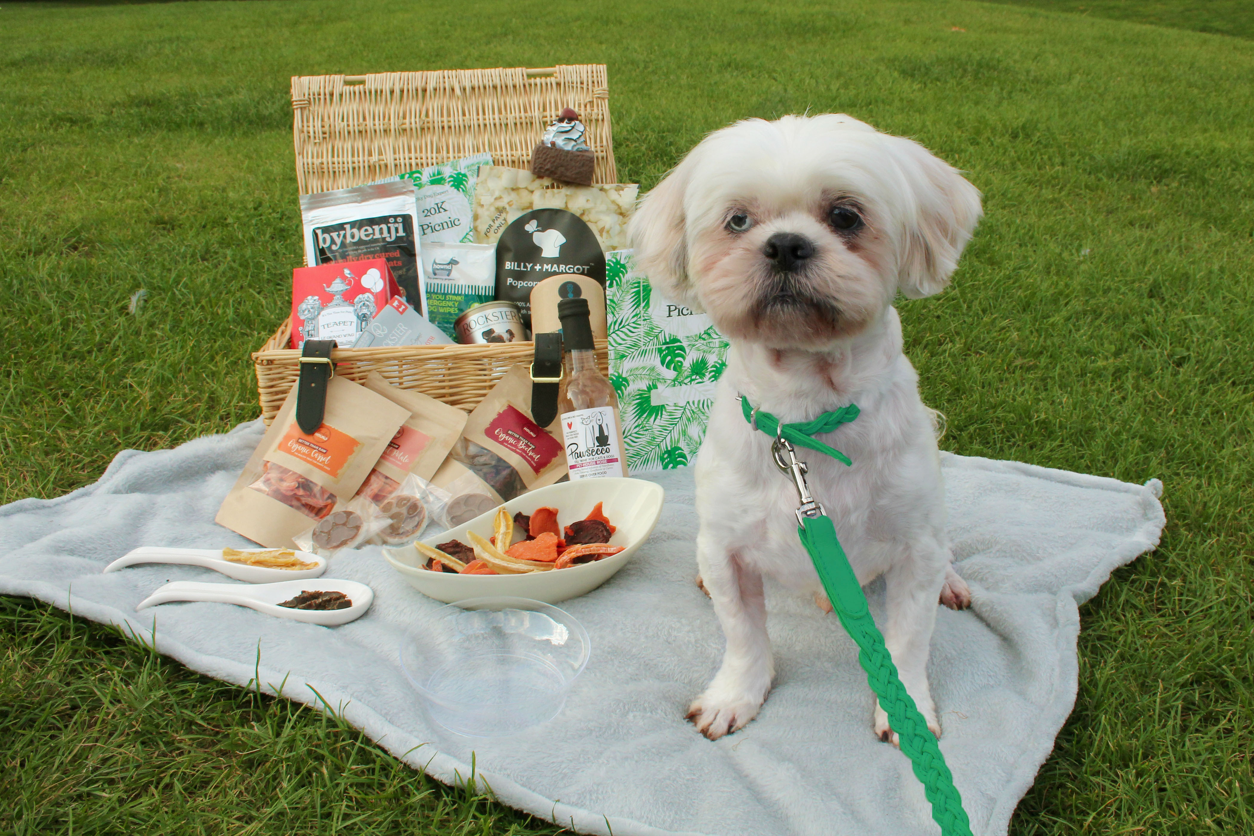 dog toy hamper