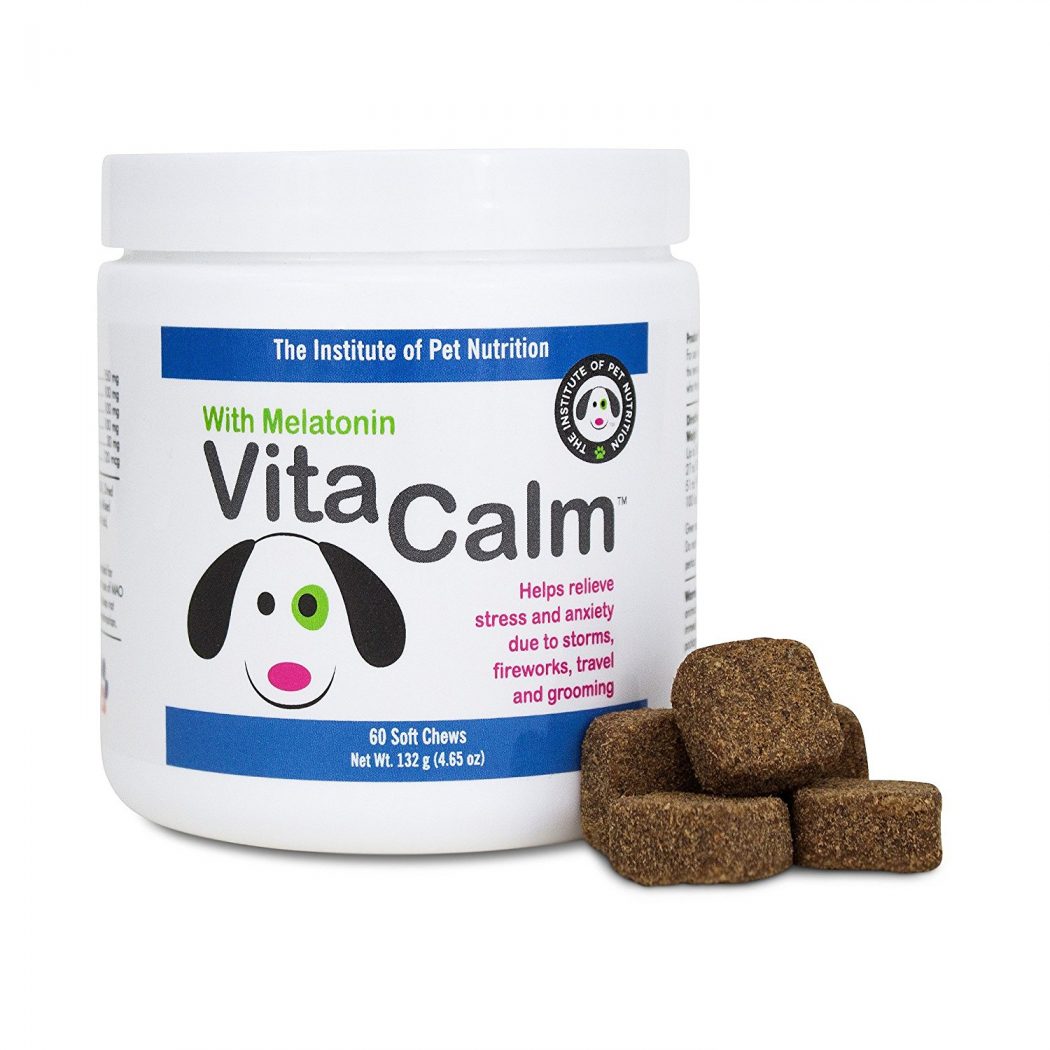 Separation Anxiety Products to Try