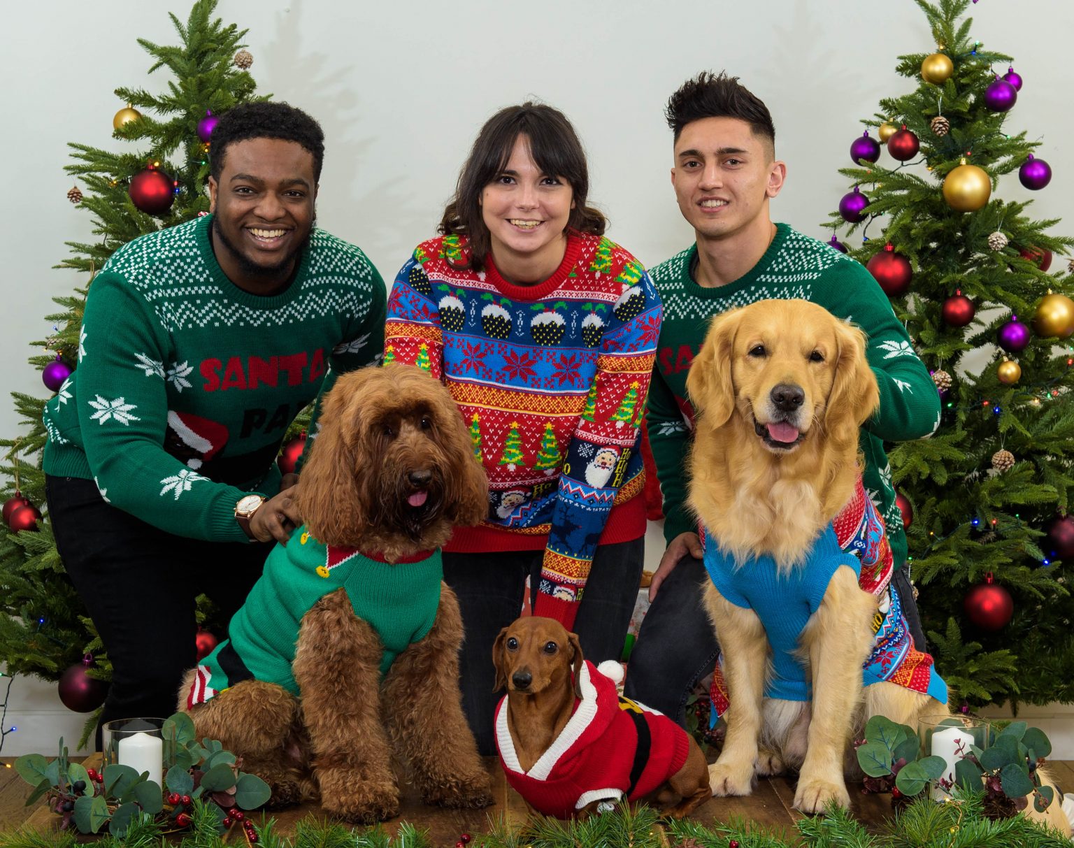 Sainsbury’s Dinner Restaurant For Dogs London