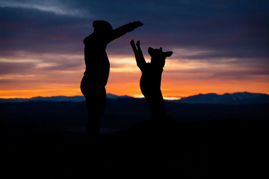 silhouette of a human and dog with the sun rising behind them
