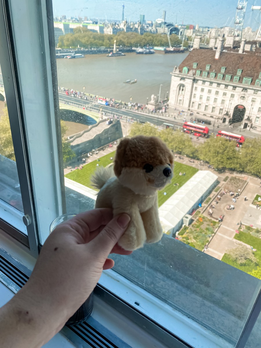a toy pomeranian with a view over london