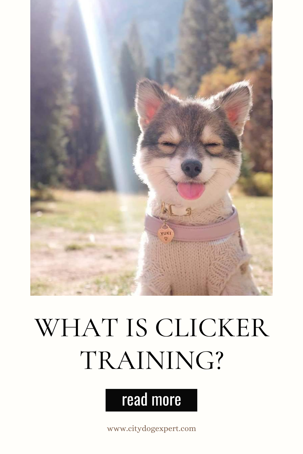 what is clicker training poster with small dog