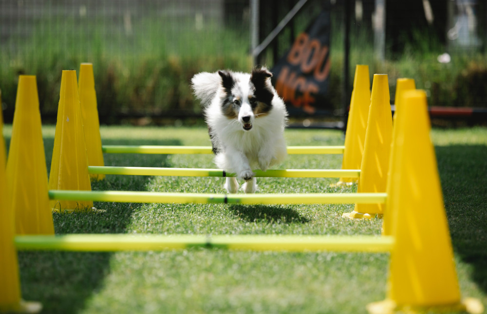 Jumping over a hurdle